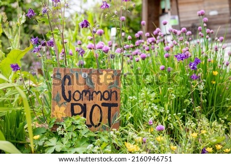 Common plot garden sign in overgrown flower field with wood structure. Urban community garden background. Selective focus on handmade sign with defocused foliage, pink and yellow flowers.