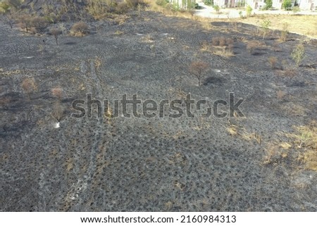 Aerial view of grassland area after the wild fire