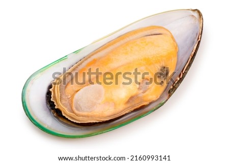 Green Shell mussels  isolated on white background, Fresh New Zealand mussels or Perna Canaliculus on White Background With clipping path, Royalty-Free Stock Photo #2160993141