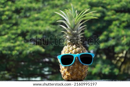 Pineapple with sunglasses in a nature background , Stock Photo