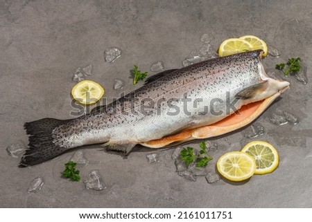 Raw trout carcass with ice, lemon and parsley on a grey stone concrete background. Sea fish, healthy food, trendy hard light, dark shadow, copy space