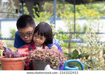 brother and sister picture Caring for the Charlie ribbon plant in a pots in the backyard. A brother wearing glasses is bent down to teach his sister how to take care of plants with fun and happy.