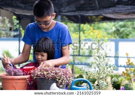 brother and sister picture Caring for the Charlie ribbon plant in a pot in the backyard.An older brother with spectacles is standing to teach his sister how to care for plants with intention and enjoy