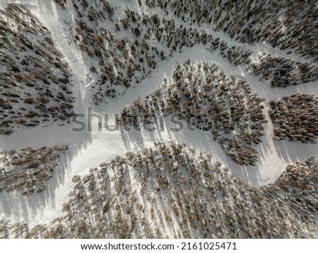 Aerial shot of forest with snow and ice in winter, with a river from a zenith drone view. Background texture of the nature.