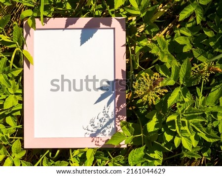 empty pink frame on real nature background, creative idea with empty frame for your ideas