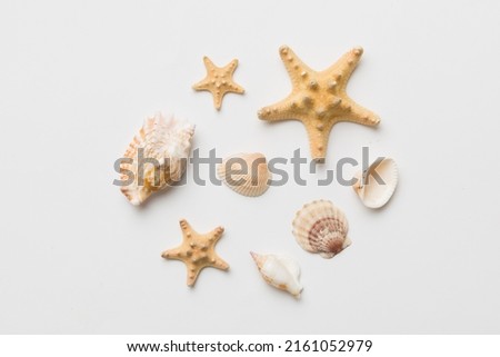 Summer time concept Flat lay composition with beautiful starfish and sea shells on colored table, top view. Royalty-Free Stock Photo #2161052979