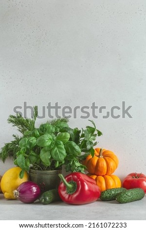 Fresh raw organic vegetables. Healthy food concept. Toned. Copy space