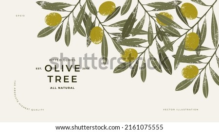 Olive horizontal design template. Olive leaves and branches. Vector illustration. Royalty-Free Stock Photo #2161075555