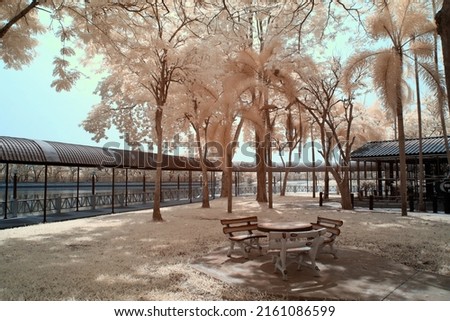 Infrared photography bench in the park