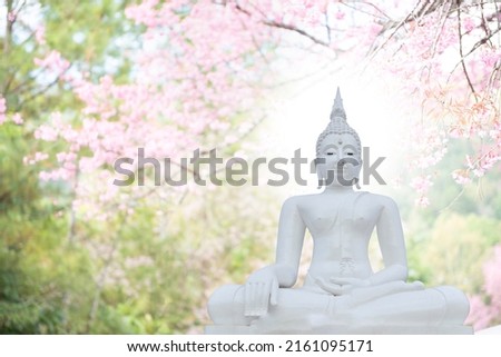 Buddha statue and prunus cerasoides flowers on nature background.