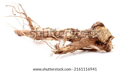 Dried tree roots on a white background Royalty-Free Stock Photo #2161116941