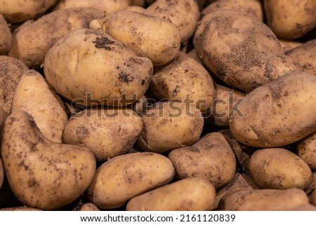 traditional potatoes in raw form. background picture.