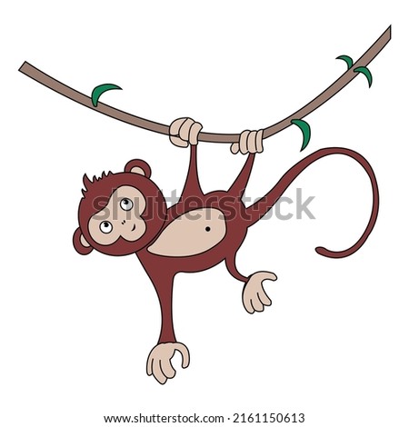 vector cute monkey holding on tree