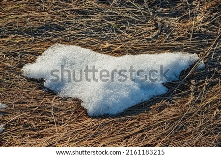 Melting snow on dry grass. Spring landscape, March. Web banner. Ukraine.