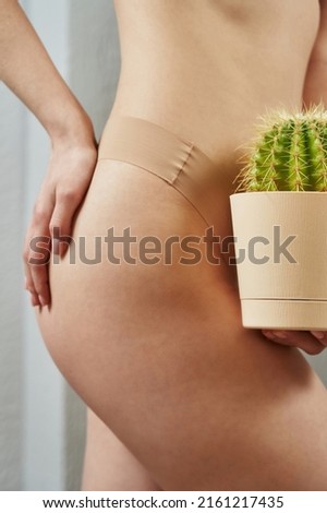 female hands hold a green cactus near a female pussy and the palm rests on a beautiful female priests. skin care, hair removal, healthy and beautiful body, self-care, women's health, STDs, infections