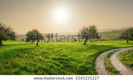 Serene Cyprus landscape with green fields and carob trees. Backlit with lens flare Royalty-Free Stock Photo #2161231227