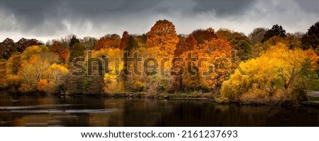 Beautiful autumn panoramic landscape in the forest. Autumn forest trees panorama. Autumn forest panoramic landscape. Autumn panorama Royalty-Free Stock Photo #2161237693