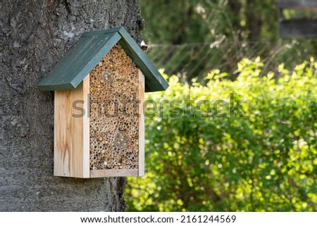 Decorative pollinator hotel attached to a tree trunk providing habitat for cavity-nesting bees. Insect hotel attracting solitary bees and bugs