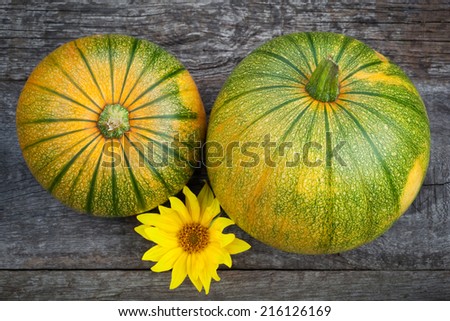 Fresh pumpkins decorated  sun flower on wooden table, top view, focus on right pumpkin
