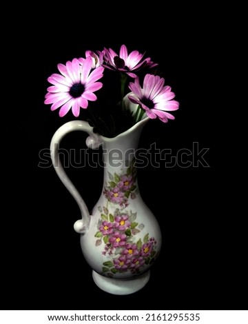 Pink and white African Daisy flowers in a decorative vase close up isolated on a black coloured background. Wall art and decoration image.