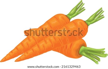 Carrot. Image of a ripe carrot. Vitamin vegetable. Organic food. Orange carrots. Vector illustration isolated on a white background Royalty-Free Stock Photo #2161329463