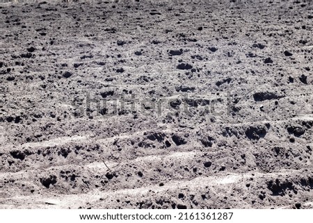 Long flat top rows, furrows, mounds for newly planted potatoes in a rural vegetable garden. A field with several rows of planted potatoes in early spring after sowing. Freshly plowed field
