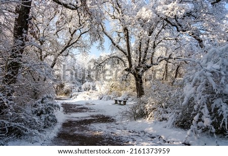 Alley with a bench in a winter snow park. Park bench in winter snow scene. Winter park bench in snow. Winter snow scene Royalty-Free Stock Photo #2161373959