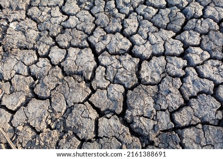 Arid land with cracks . Waterless soil surface