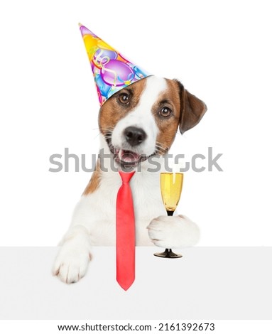 Happy Jack russell terrier puppy wearing necktie and party cap holds glass of champagne above empty white banner. isolated on white background