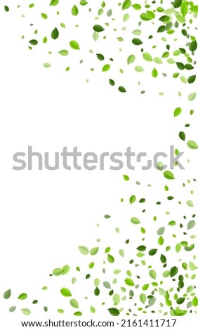 Lime Greens Motion Vector White Background. Herbal Foliage Design. Mint Leaves Forest Template. Leaf Swirl Illustration.