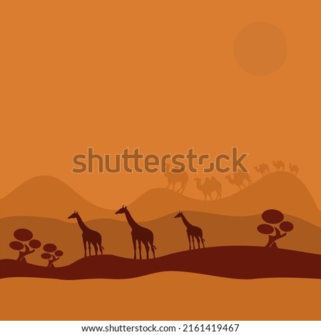 african giraffes walking through the desert ,vector illustration