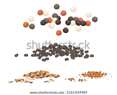 Set of seasoning with black pepper nutmeg poppy seeds powder package vector illustration on white background Royalty-Free Stock Photo #2161424989