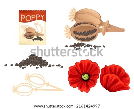Set of Poppy seed seasoning with head and milled paper package vector illustration on white background Royalty-Free Stock Photo #2161424997