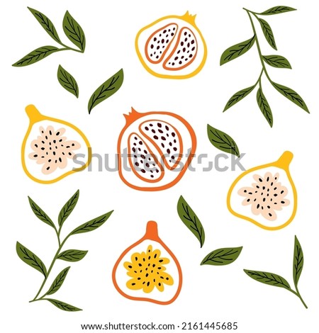 passion fruit and papaya, tropical fruit vector illustration. pattern exotic summer fruits. flat illustration for design, textile, print. summer fruits, healthy food. Royalty-Free Stock Photo #2161445685