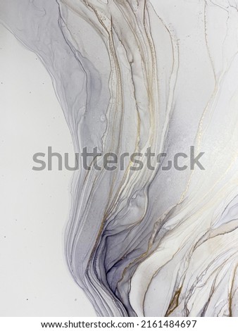 Abstract grey art with gold — marble background with beautiful smudges and stains made with alcohol ink and golden pigment. Black and white fluid texture resembles feather, watercolor or aquarelle.
 Royalty-Free Stock Photo #2161484697