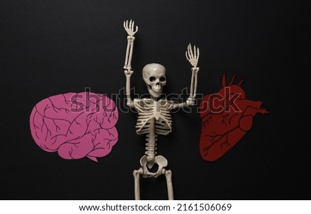 Skeleton and paper internal organs (brain and heart) on a black background