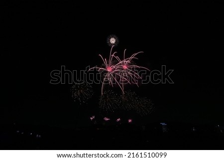 Joint fireworks work by Japanese fireworks masters