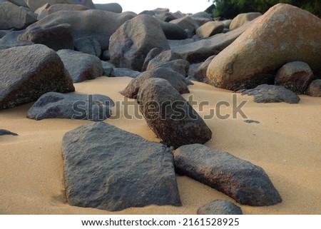 Turtle Beach, Bengkayang Regency, West Kalimantan
