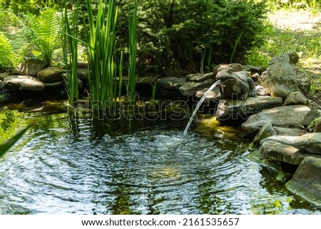 Beautiful small garden pond with a frog-shaped fountain and stone banks. Evergreen spring landscape garden. Selective focus. Nature concept for design.  Royalty-Free Stock Photo #2161535657
