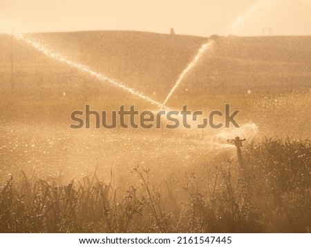 Irrigation system in ecological seedling agricultural plants