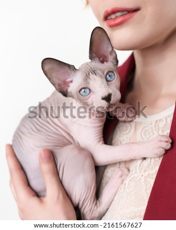 Woman gently hugging to her chest Sphynx Hairless kitten looking at camera. Selective focus on blue eyes of domestic kitten, shallow depth of field. Studio shot on white background. Part of series.