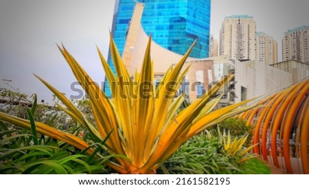 Defocused abstract background of 
Beautiful plants, against the backdrop of skyscrapers.