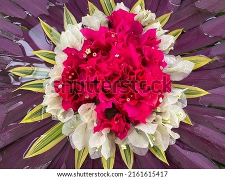 Beautiful floral decorative composition with purple palm leaves, white and pink bougainvillea flowers in white vase directly above view