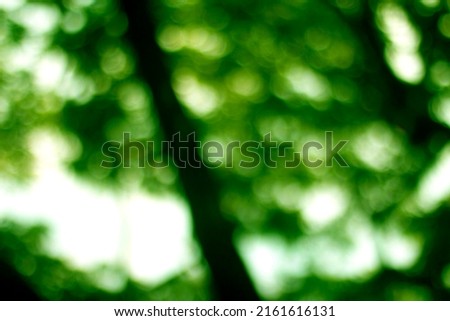 Light bokeh, Abstract blurred background
