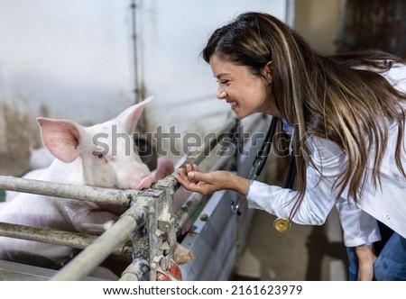 Young pretty woman veterinarian cuddling piglet in pig pen on farm Royalty-Free Stock Photo #2161623979