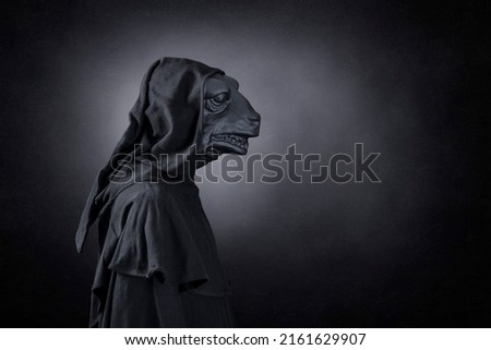 Reptile in hooded cloak at night over dark misty background
