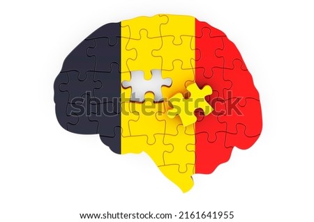 Chadian flag painted on the brain from puzzles. Scientific research and education in Chad concept, 3D rendering isolated on white background