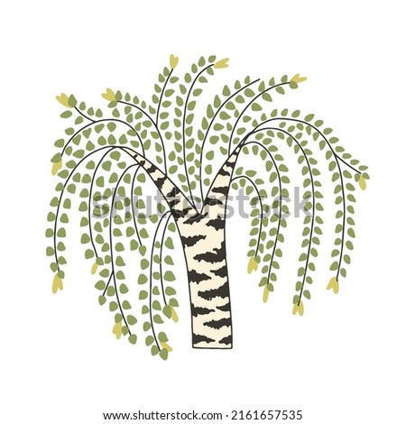 birch tree clip art icon, vector eps 10 betula, Scandinavian birch tree clip art, birch sticker, children wear print