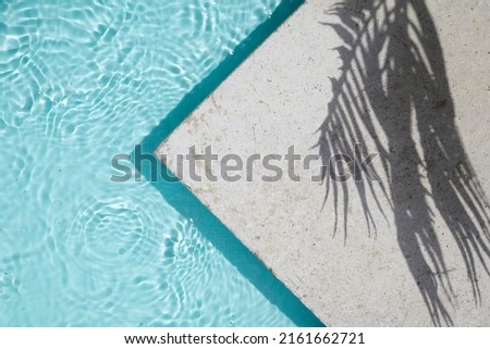 Swimming pool top view background. Water ring and palm shadow on travertine stone