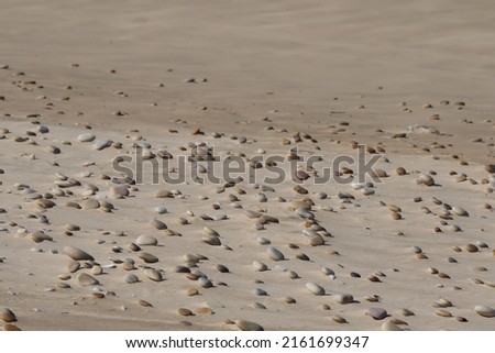 Pepple stones in all different colors on the beach with the tide watermark in the background and in windy sand 